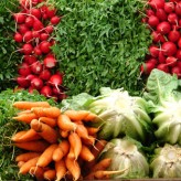 hcg diet obesity